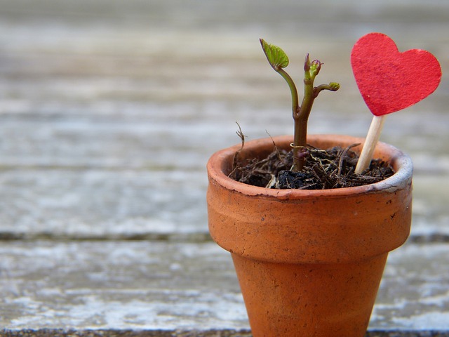 coaching santé vitalité