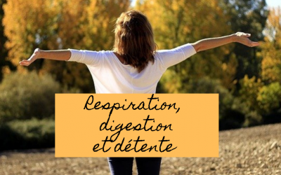 Respiration, digestion et détente