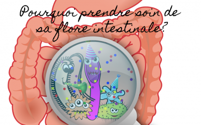 💎Pourquoi prendre soin de sa flore intestinale?