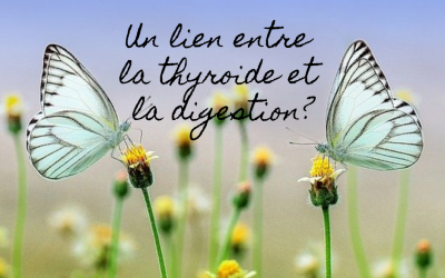 🤔 Un lien entre la digestion et la thyroïde?