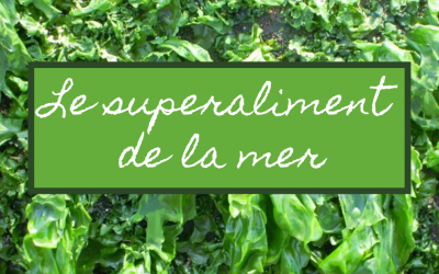 Les algues de mer, superaliment en naturopathie