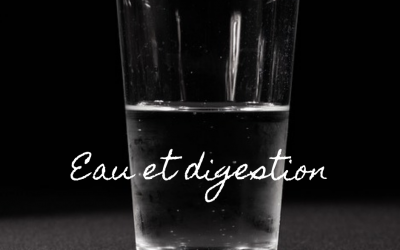 Eau et digestion